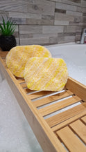 Load image into Gallery viewer, Soap Sponges