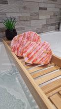 Load image into Gallery viewer, Soap Sponges