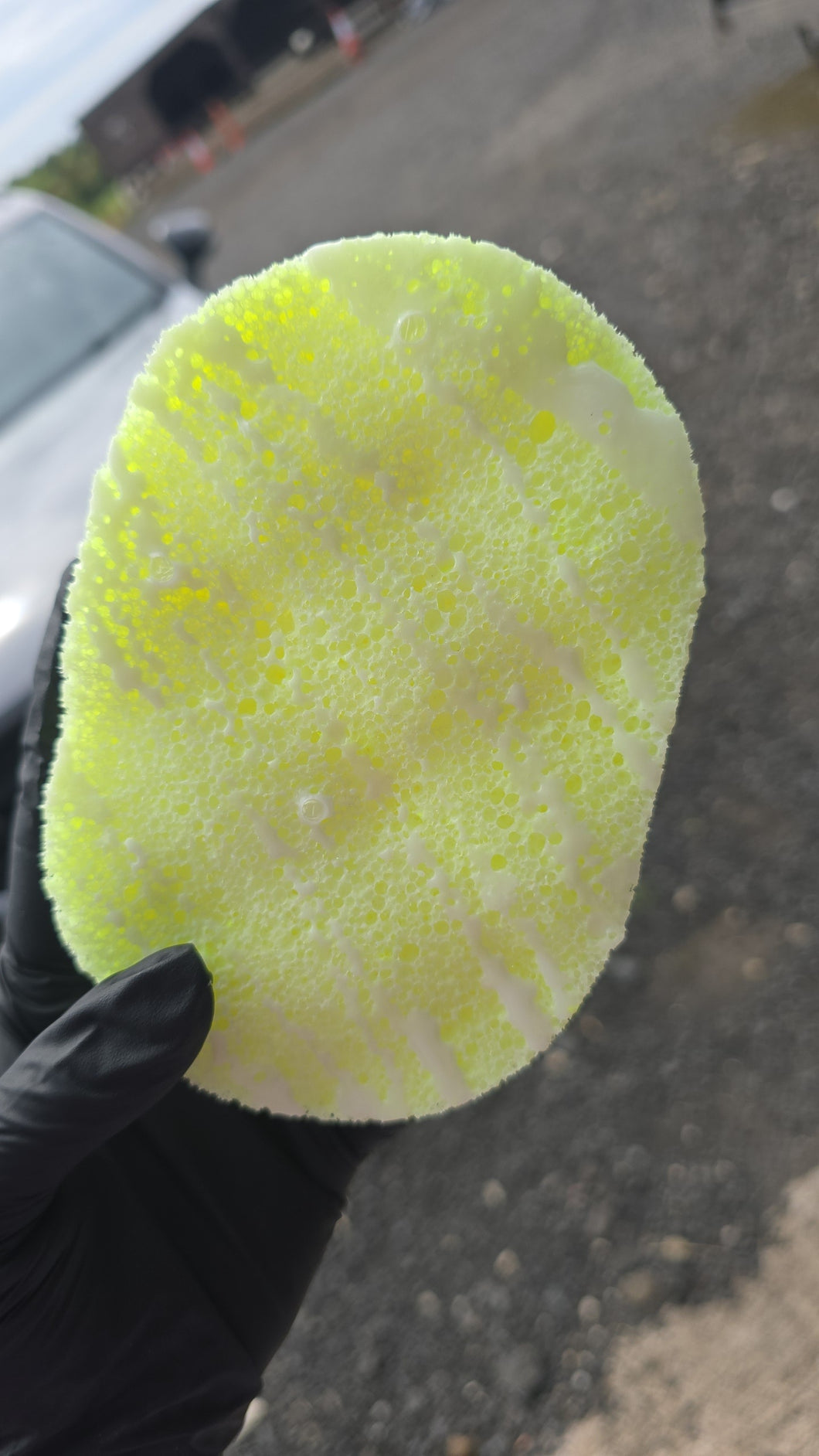 Shes A Flower Soap Sponge