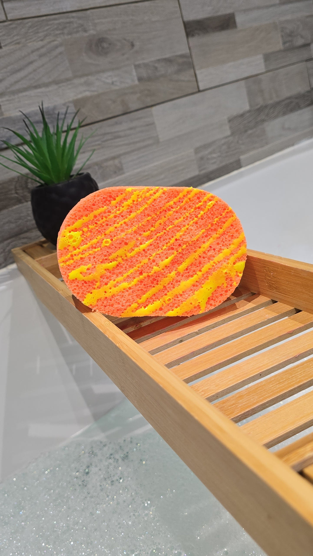 Citrus Burst Soap Sponge